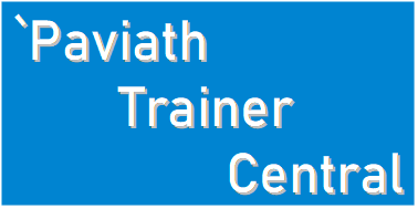 Paviath Solutions